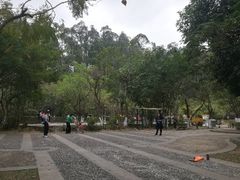 -滴水岩森林公园