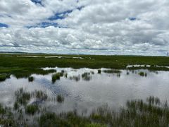 -花湖生态旅游区