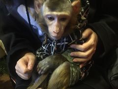 -盤古Spa泰式古法抓龙筋(鲁迅路店)