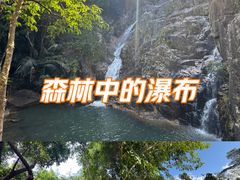 -海南霸王岭国家森林公园