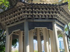 -荔湾湖公园