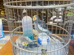 -蘭奢雅集·江浙菜(青山江滩店)