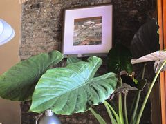 -About Bistro關於·泰式家庭料理