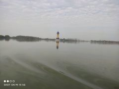 -溱湖国家湿地公园