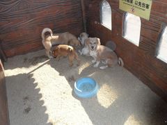 -大连森林动物园