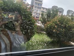 -鸿涛阁宴会中心