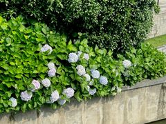 -宁波儿童公园(鄞州区)