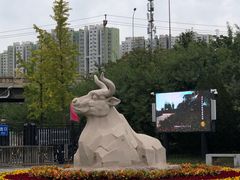 -永定河休闲森林公园