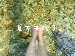 -麦积山温泉