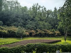 -龙头寺公园