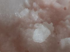 -津椰本·海南正宗椰奶清补凉(店一店)