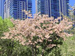 -西北湖绿化广场