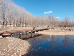 -东郊湿地公园