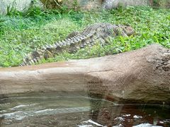 -香港海洋公园