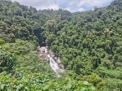 -海南热带雨林国家公园吊罗山景区