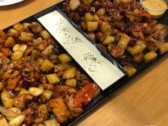 -DM CHICKEN 分米鸡