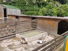 -宁波九龙湖开元度假村