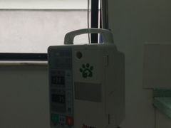 -思宇宠物医院