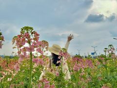 -中国天府农业博览园