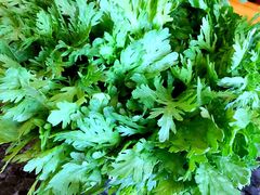 -老码头火锅(骡马市店)