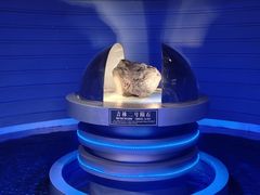 -吉林市博物馆