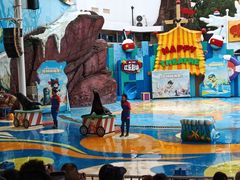 -海合安成都极地海洋公园