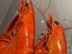 -曼格蒸汽活海鲜·榴莲自助(皇庭广场店)