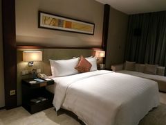 -深圳湾科技园丽雅查尔顿酒店