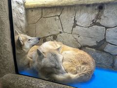 -大连圣亚海洋世界