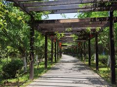 -九龙潭景区