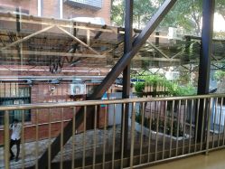 -重庆医科大学附属儿童医院(渝中院区)