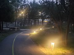 -石榴庄公园