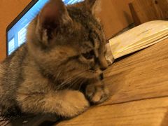 -时光转角咖啡馆(西康路店)