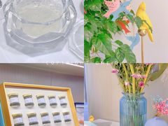-燕庭·纯燕窝·甜品下午茶(南京西路店)