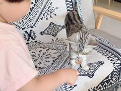 -平行世界·猫咖(首经贸店)