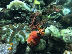 -福州罗源湾海洋世界旅游区