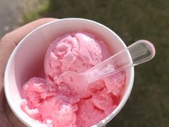 -小杨生煎(天之骄子店)