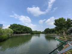 -红梅公园