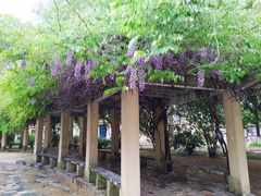 -南京航空航天大学(明故宫校区)
