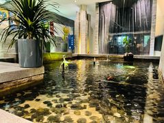 -大渔之观(安贞店)