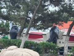 -烟台市博物馆