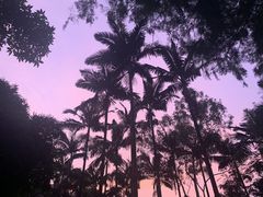 -奥林匹克体育中心游泳馆