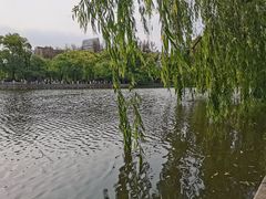 -翠湖公园