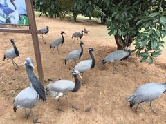 -鄱阳湖国家湿地公园