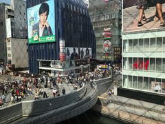 -蟹道乐(道顿堀本店)