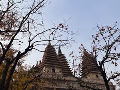 -北京石刻艺术博物馆(五塔寺)
