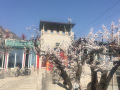 景观位-闻道食府烙饼卷带鱼(原车耳营店原大觉寺店)