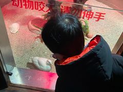-石家庄海洋公园