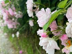 -南京国际青年文化中心