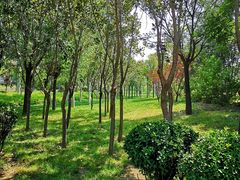 -武清南湖绿博园